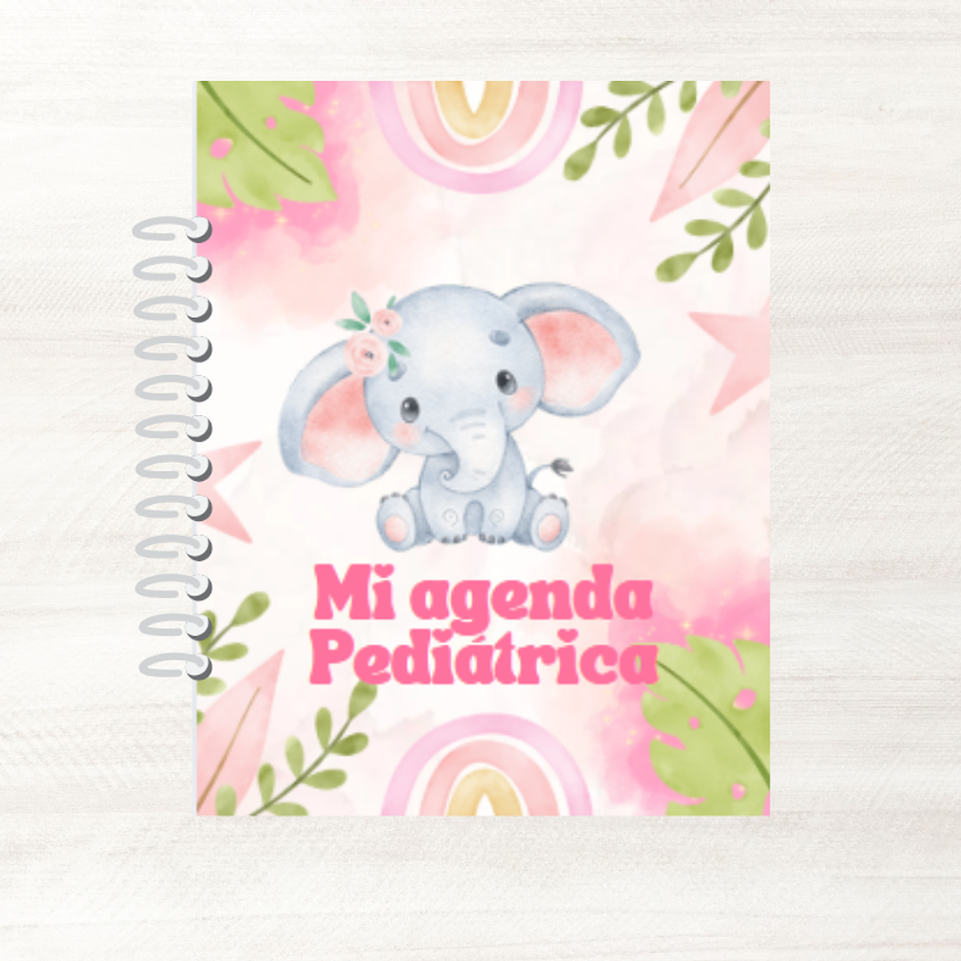 Cuaderno Control Pediatra 2