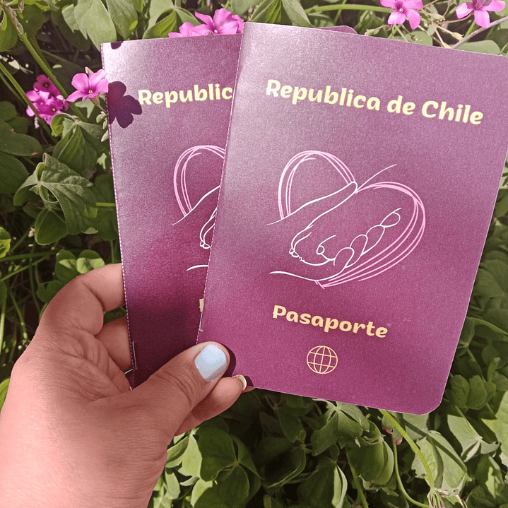 Pasaporte Mascotas 1