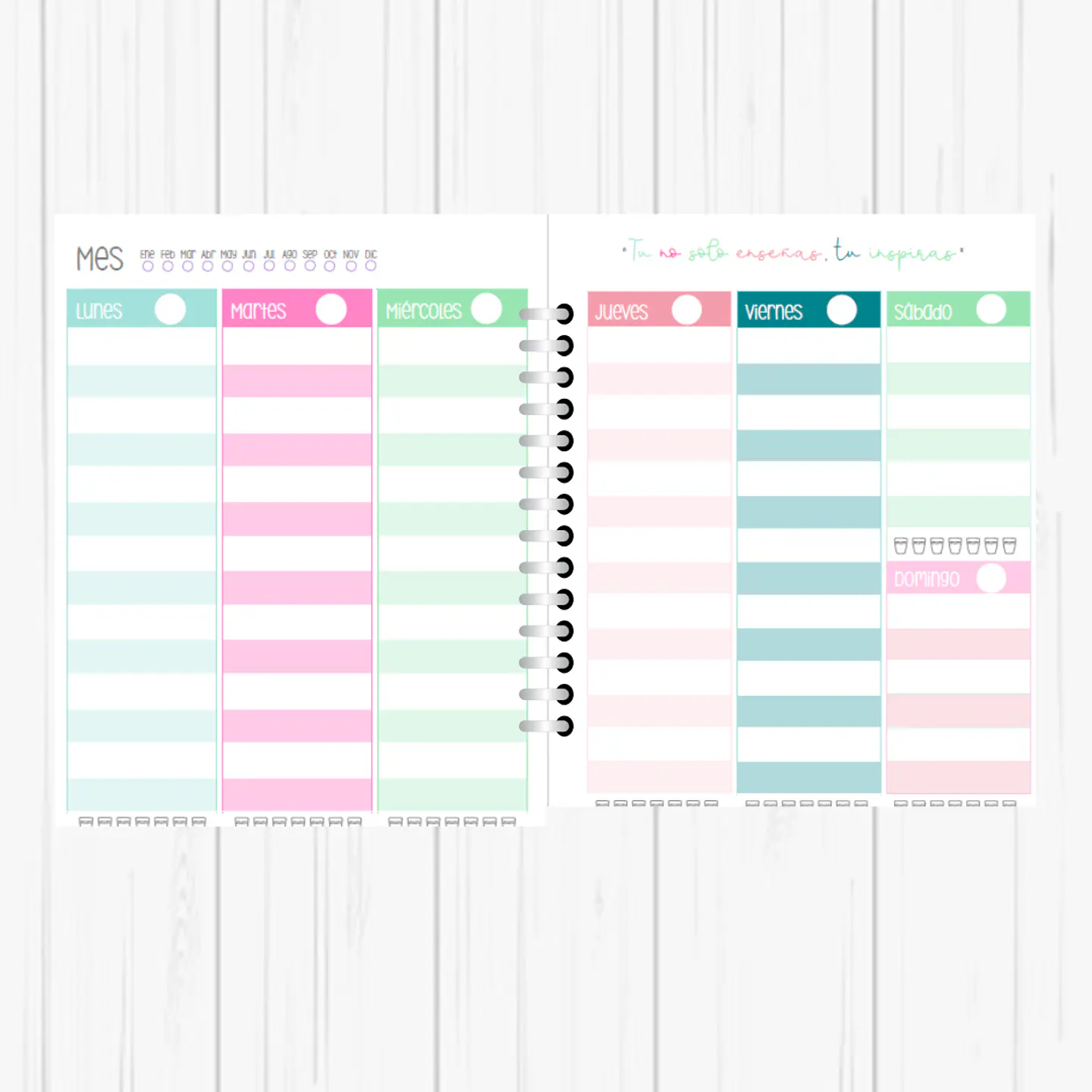 Planner Profesora 4