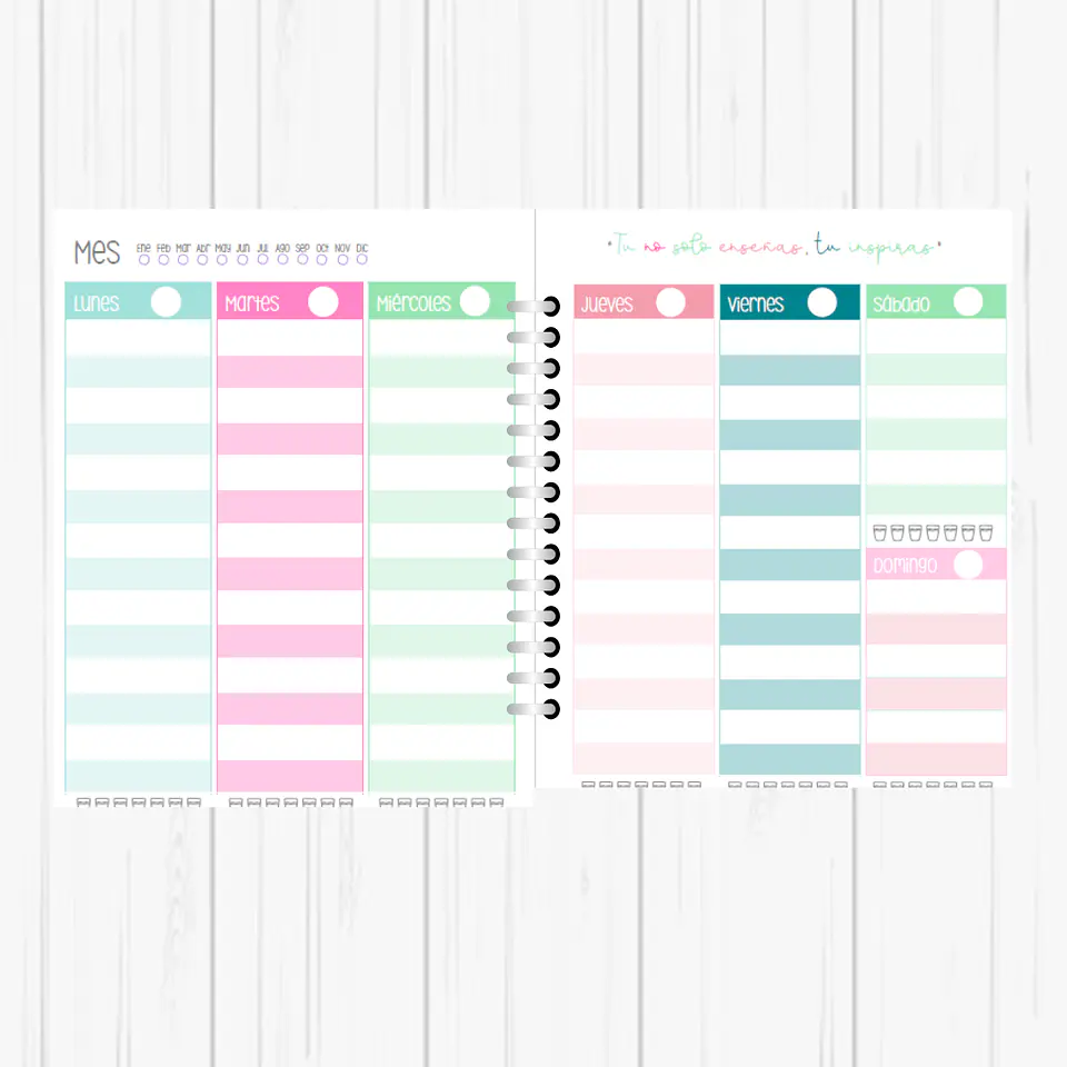 Planner Profesora 4