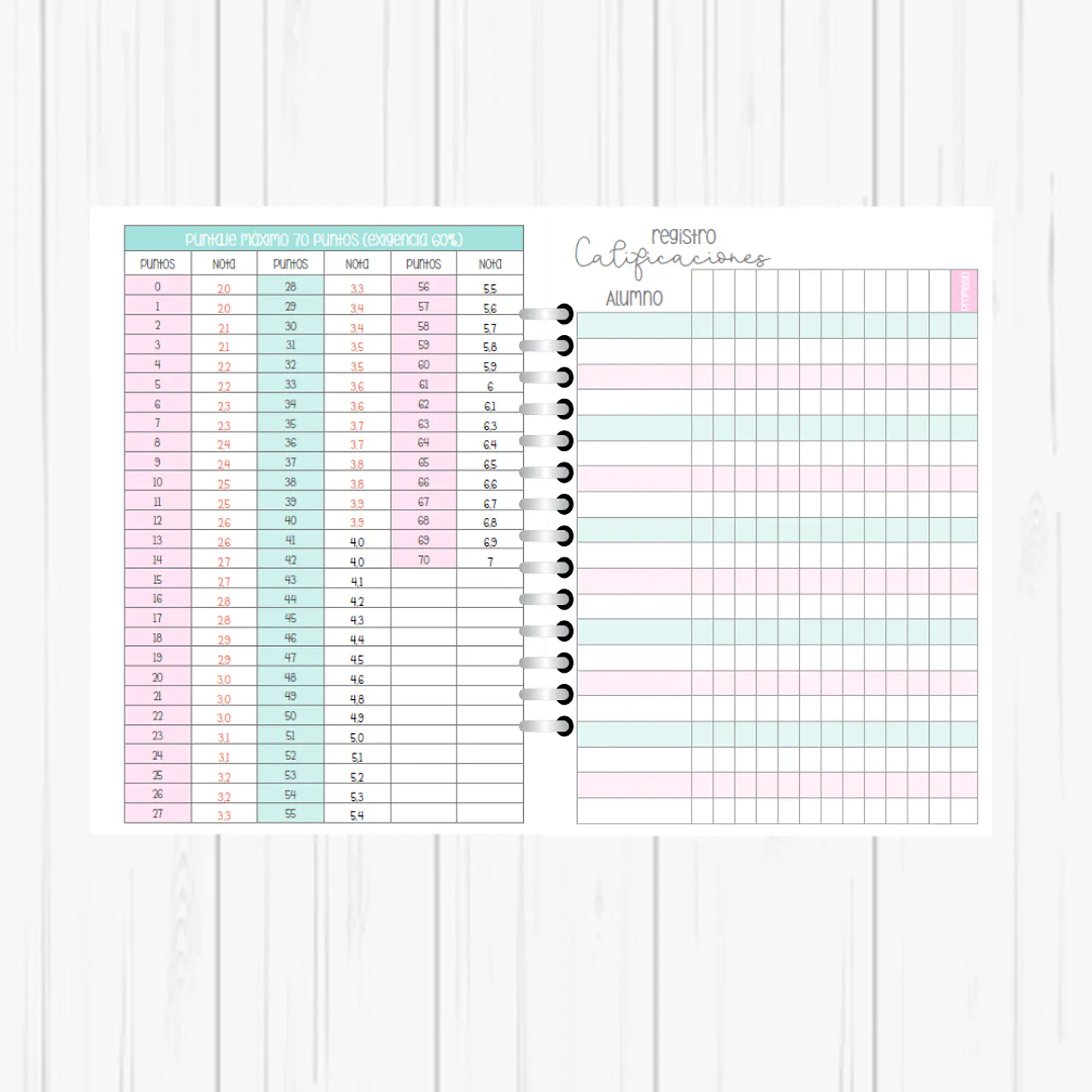 Planner Profesora 5