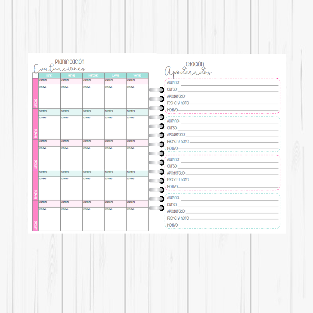 Planner Profesora 3