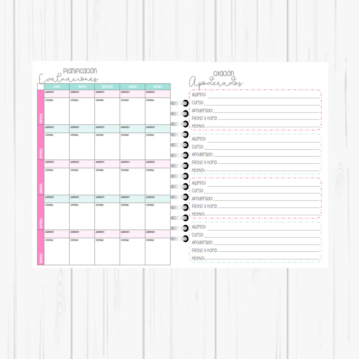 Planner Profesora 3