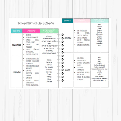 Planner Profesora