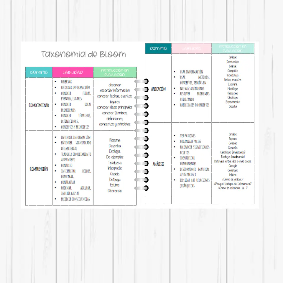 Planner Profesora 2