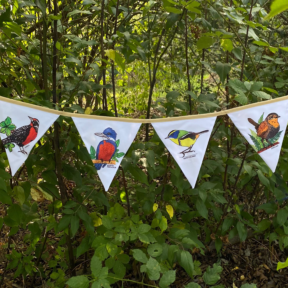 Banderines de Aves para Decorar tus Espacios