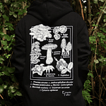 Polerón diseño Hongos | Diseño de Identificación