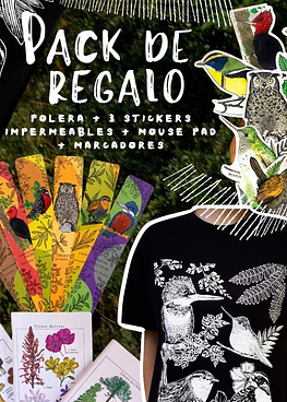 Pack de Regalo - Errante Taller