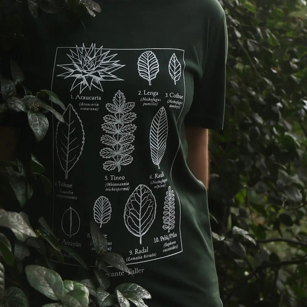 Polera Color Diseños Errante Taller