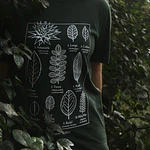Polera Color Diseños Errante Taller