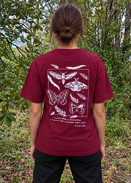 Polera Mariposas Espalda Burdeo