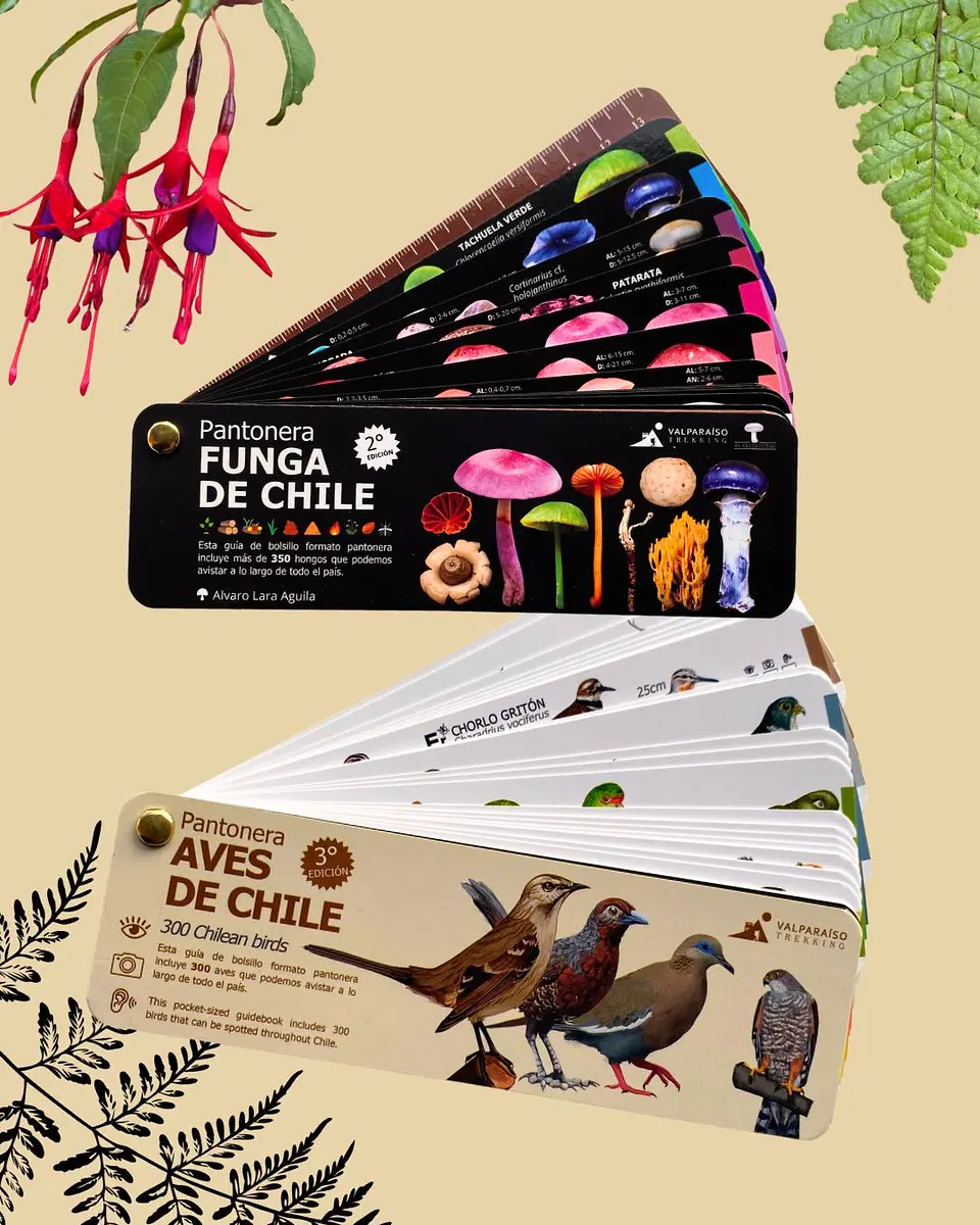 Pack de regalo Naturalista N°2 - Errante Tienda 2