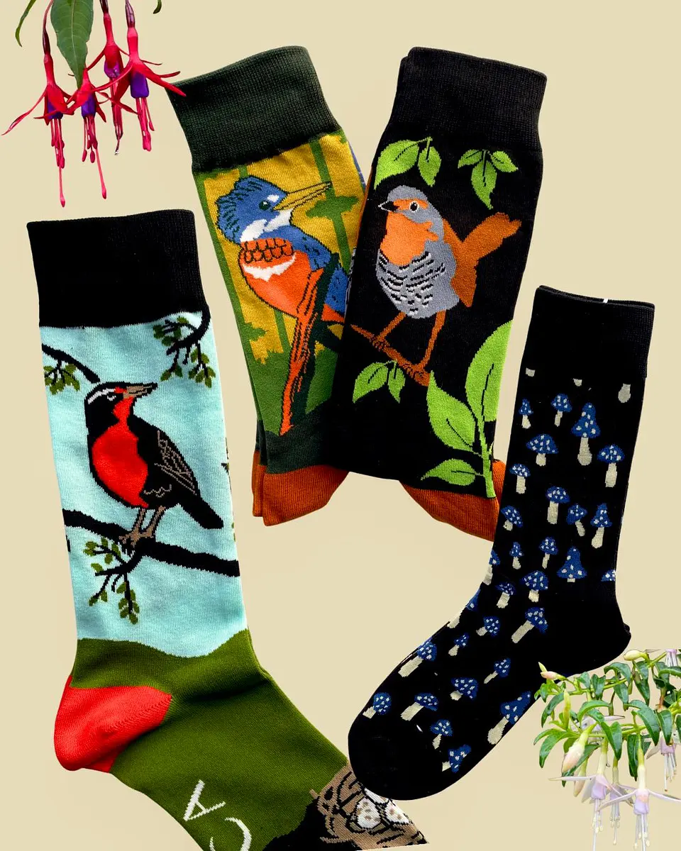 Pack de regalo Naturalista N°2 - Errante Tienda 3