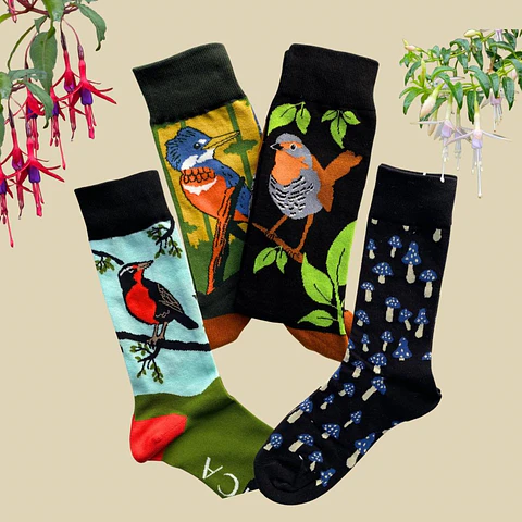Calcetines  Ilustrados - Errante Tienda