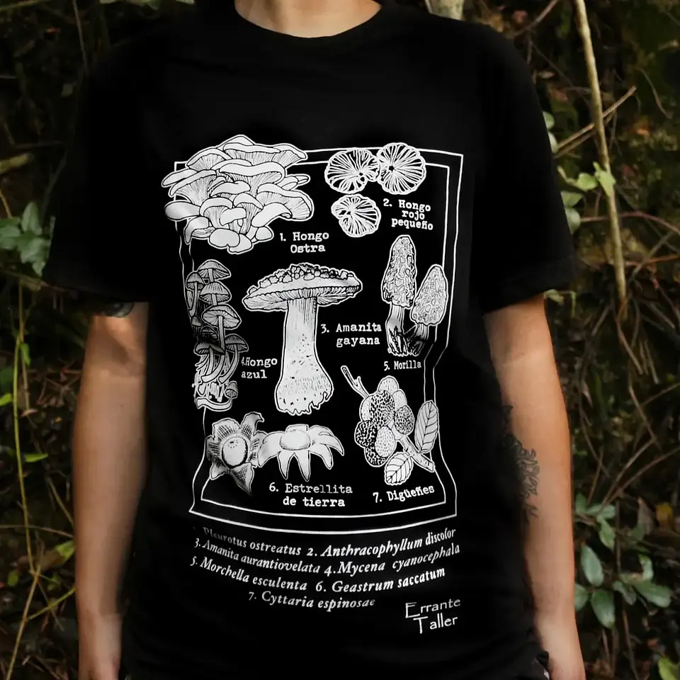 Polera Adulto Identificación Fungi  1