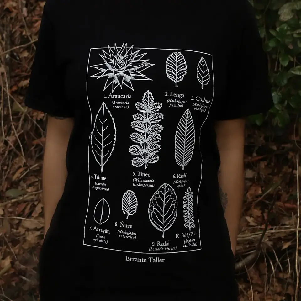 Polera Adulto Hojas Nativas 1