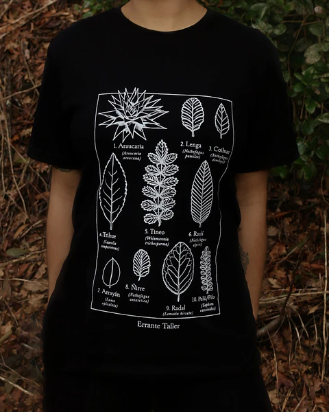 Pack 3 Poleras Errante Tienda
