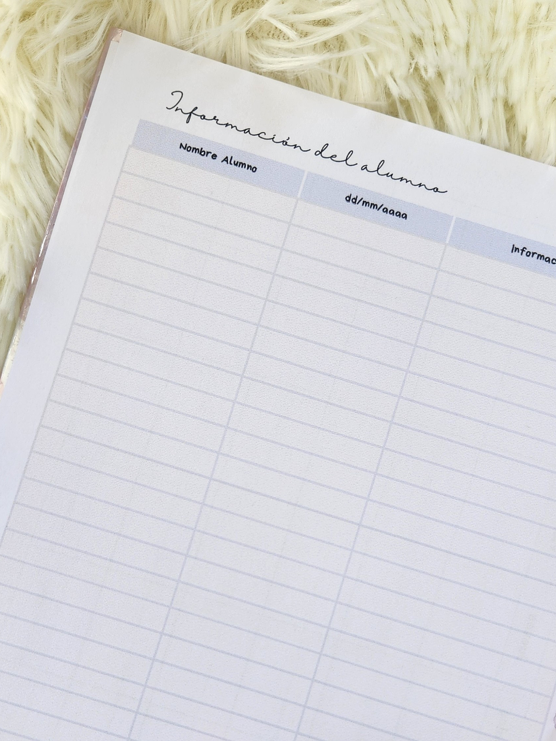 Cuaderno Personalizado para Profesores | Planificación y Organización 11