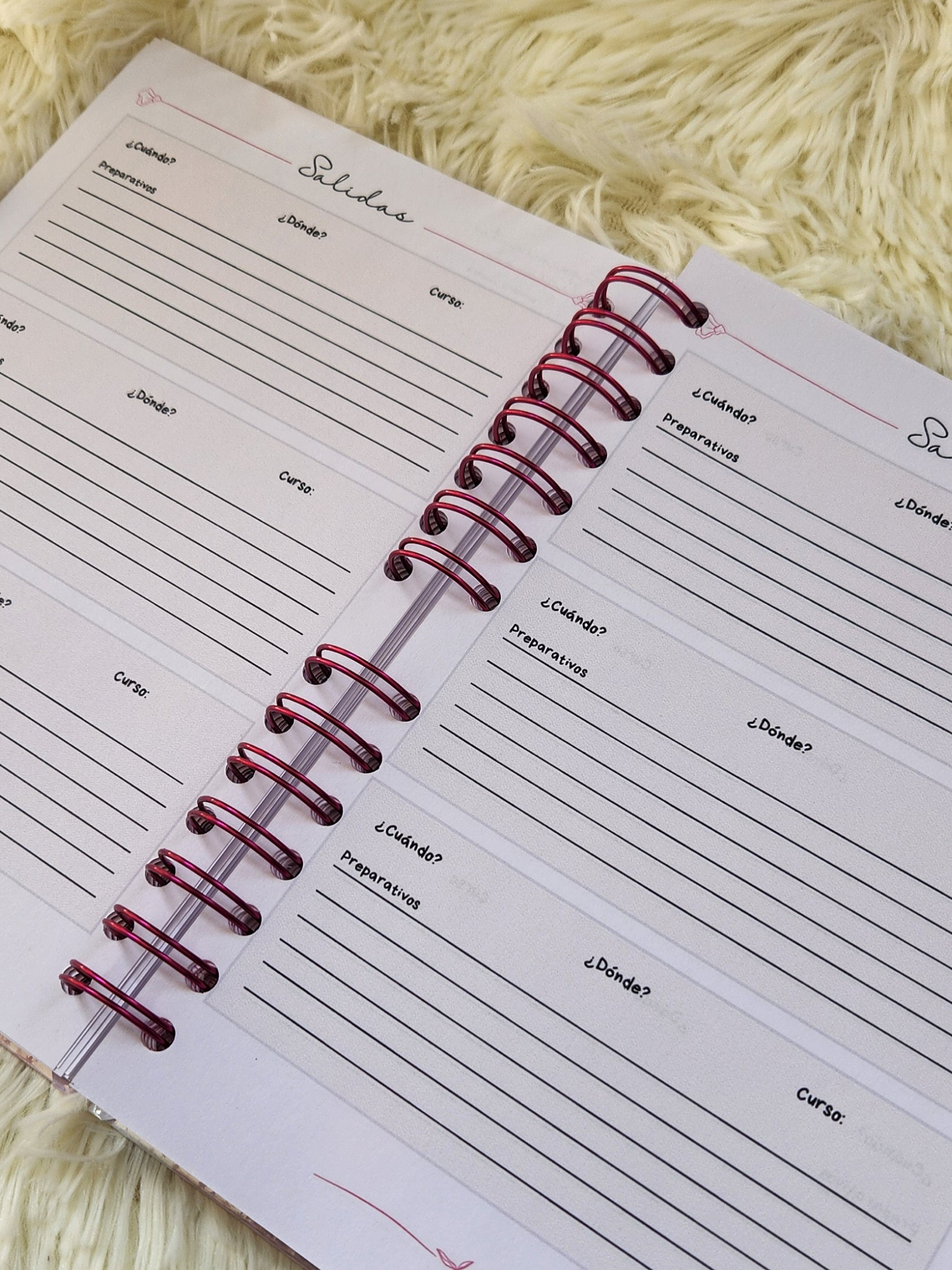 Cuaderno Personalizado para Profesores | Planificación y Organización 13