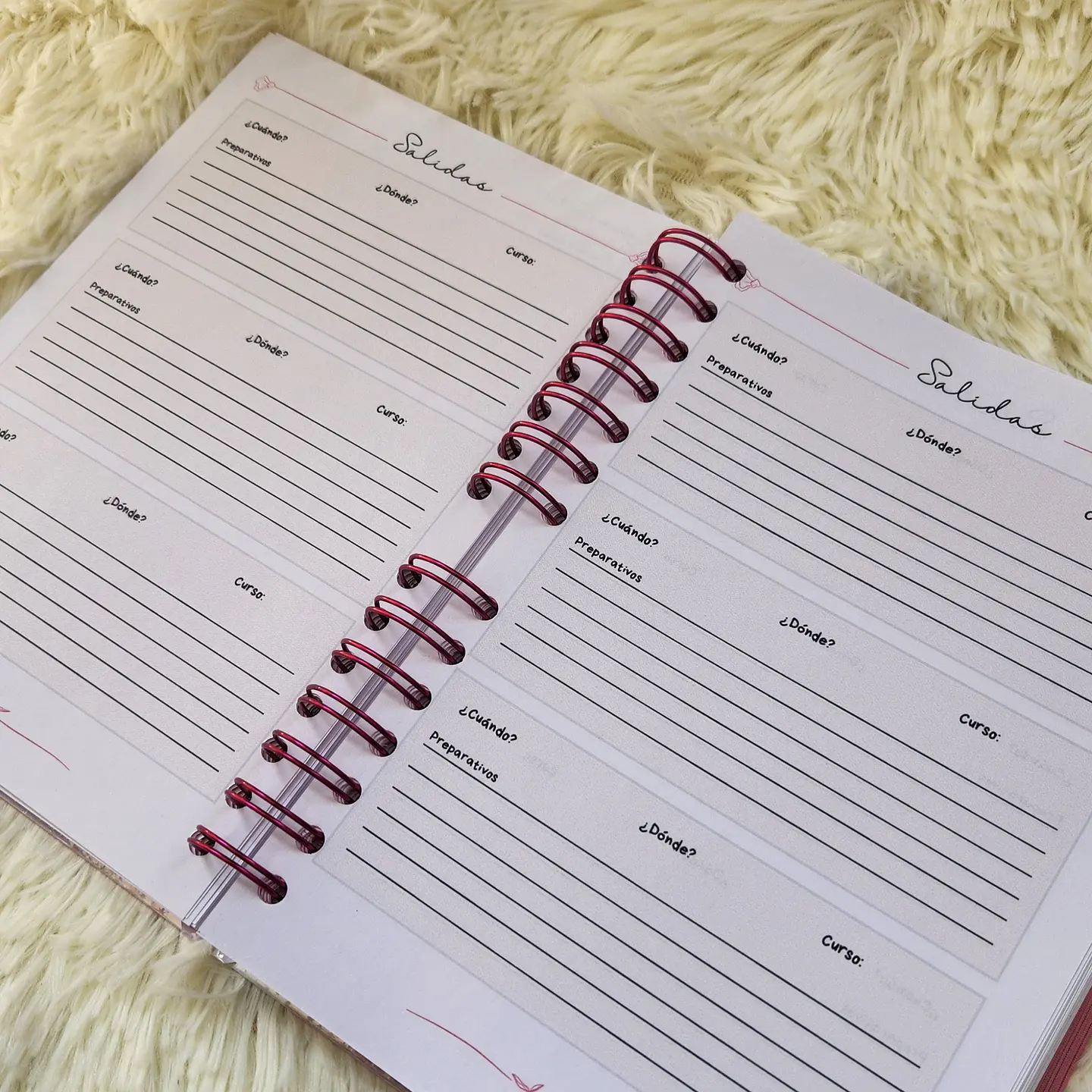 Cuaderno Personalizado para Profesores | Planificación y Organización 2