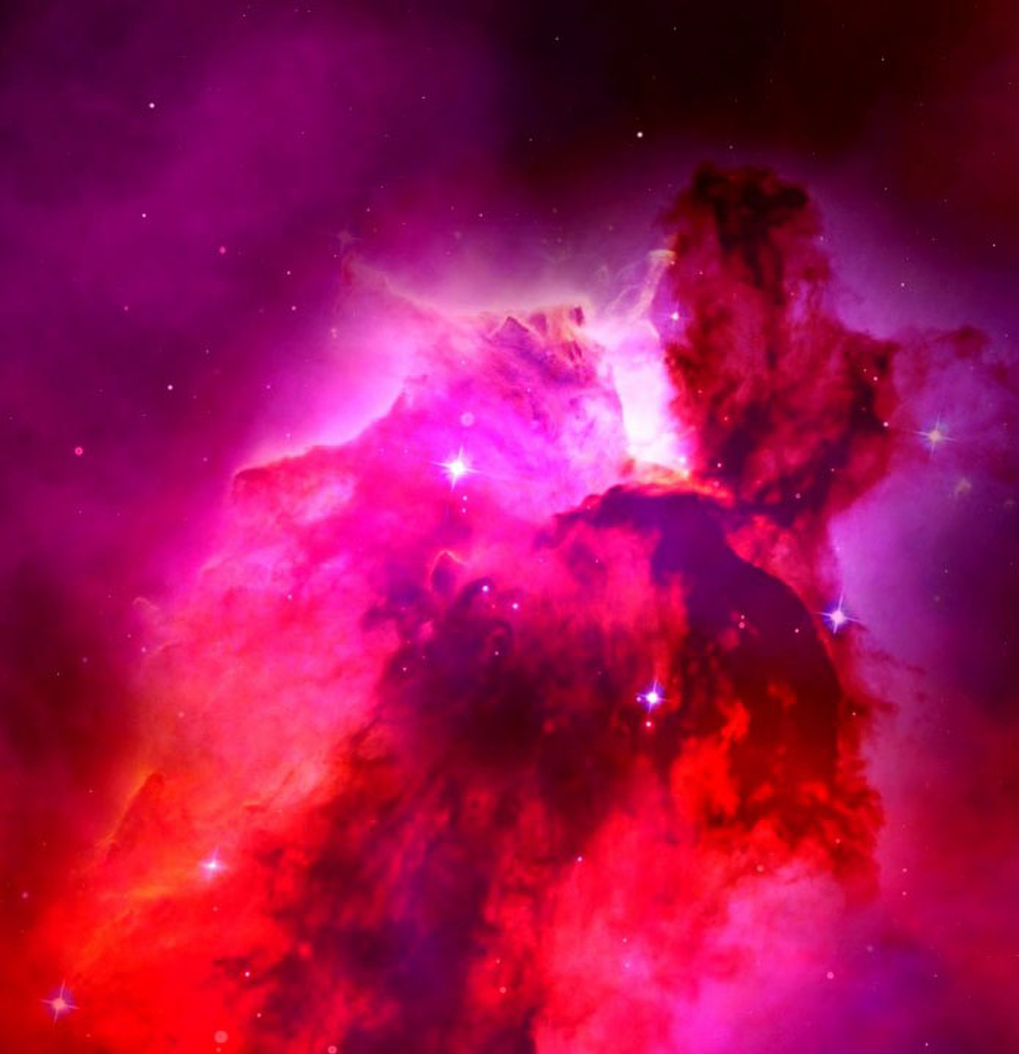 ¿Quién no ha tenido la fuerte curiosidad de saber lo que le depara el futuro?