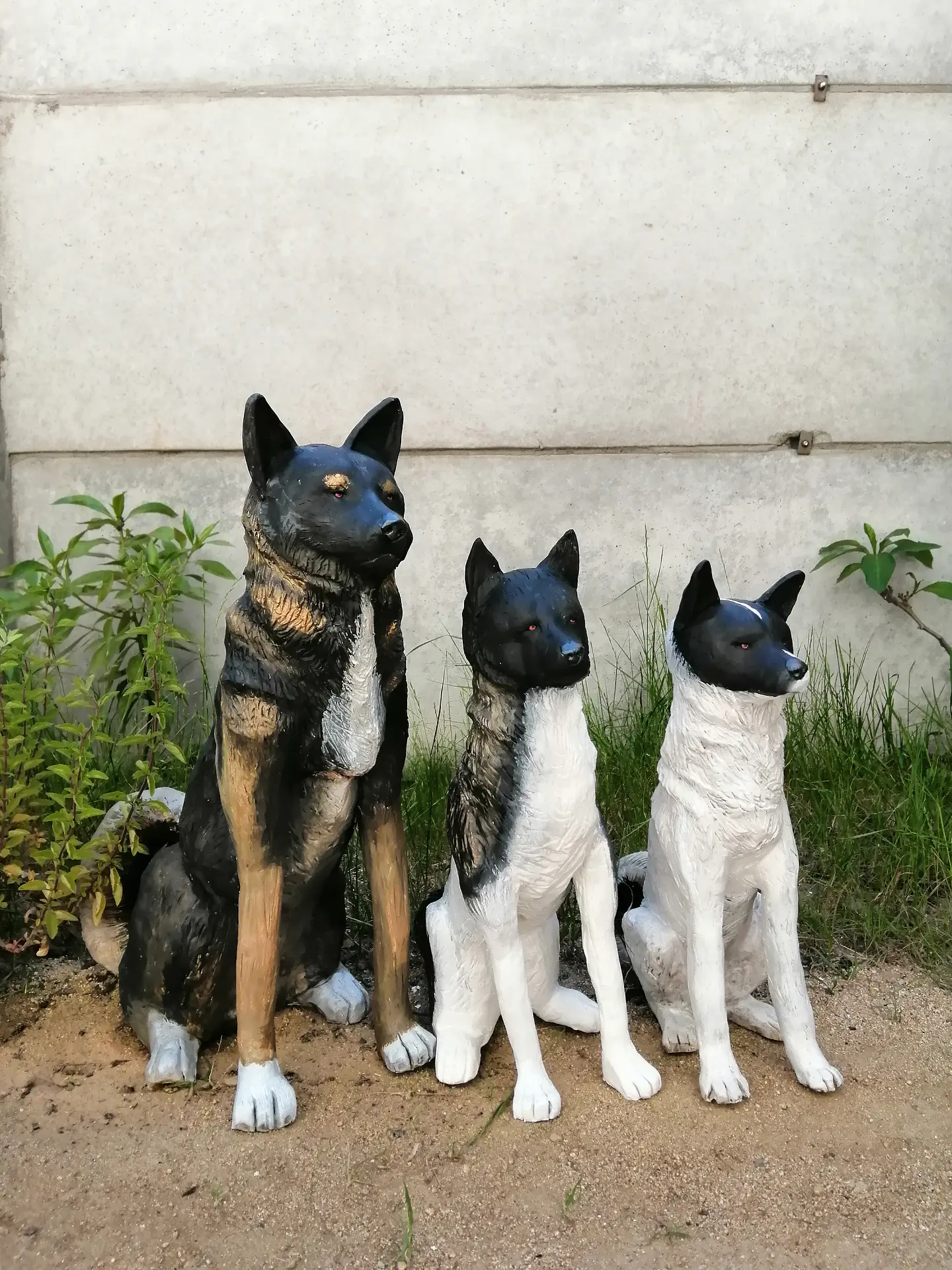 Memorial Mascota  tres Akita americano  1