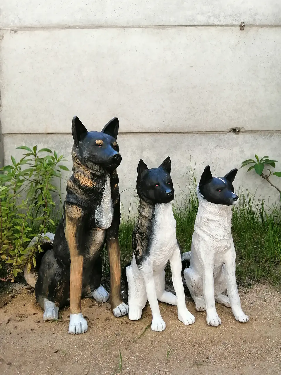 Memorial Mascota  tres Akita americano  1