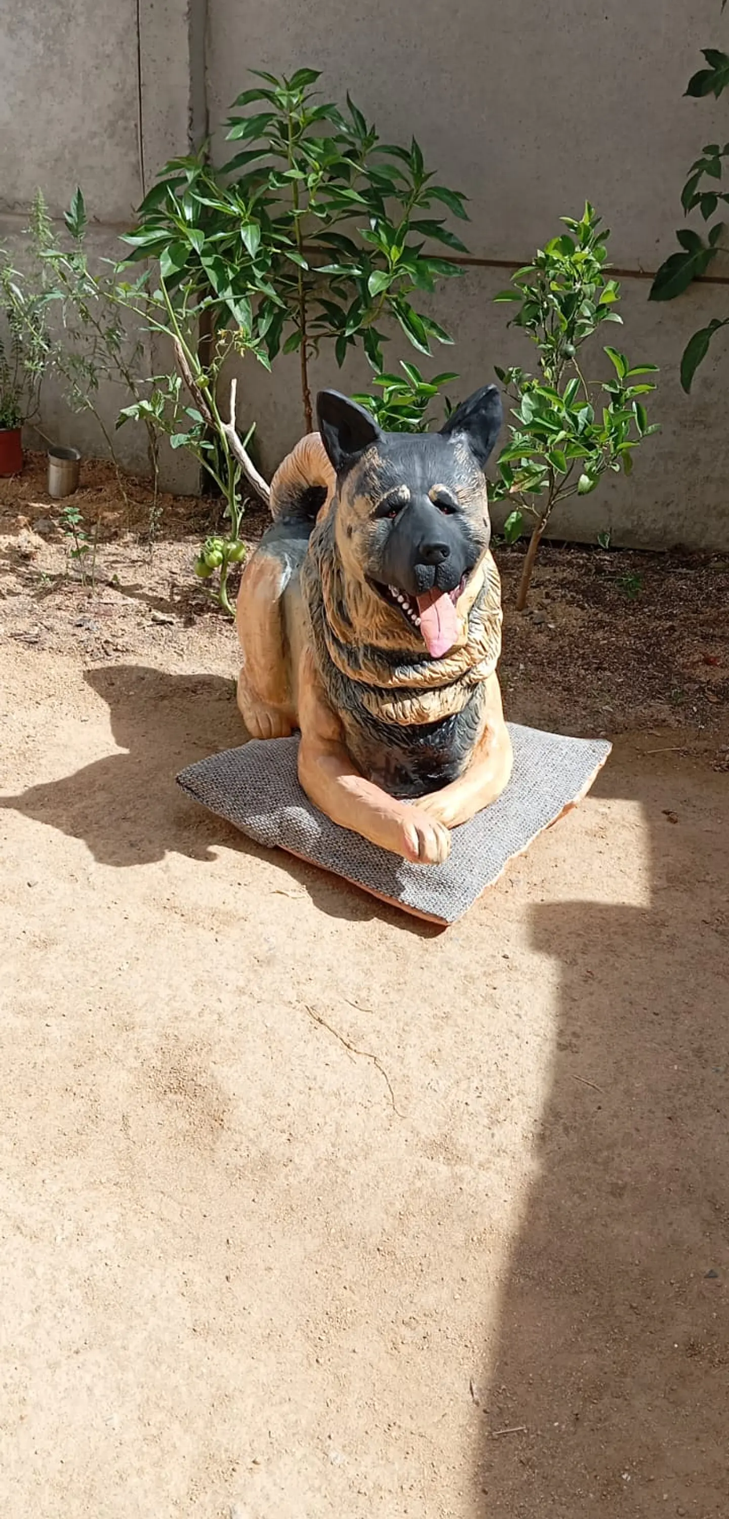 Memorial Mascota Akita Americano  3
