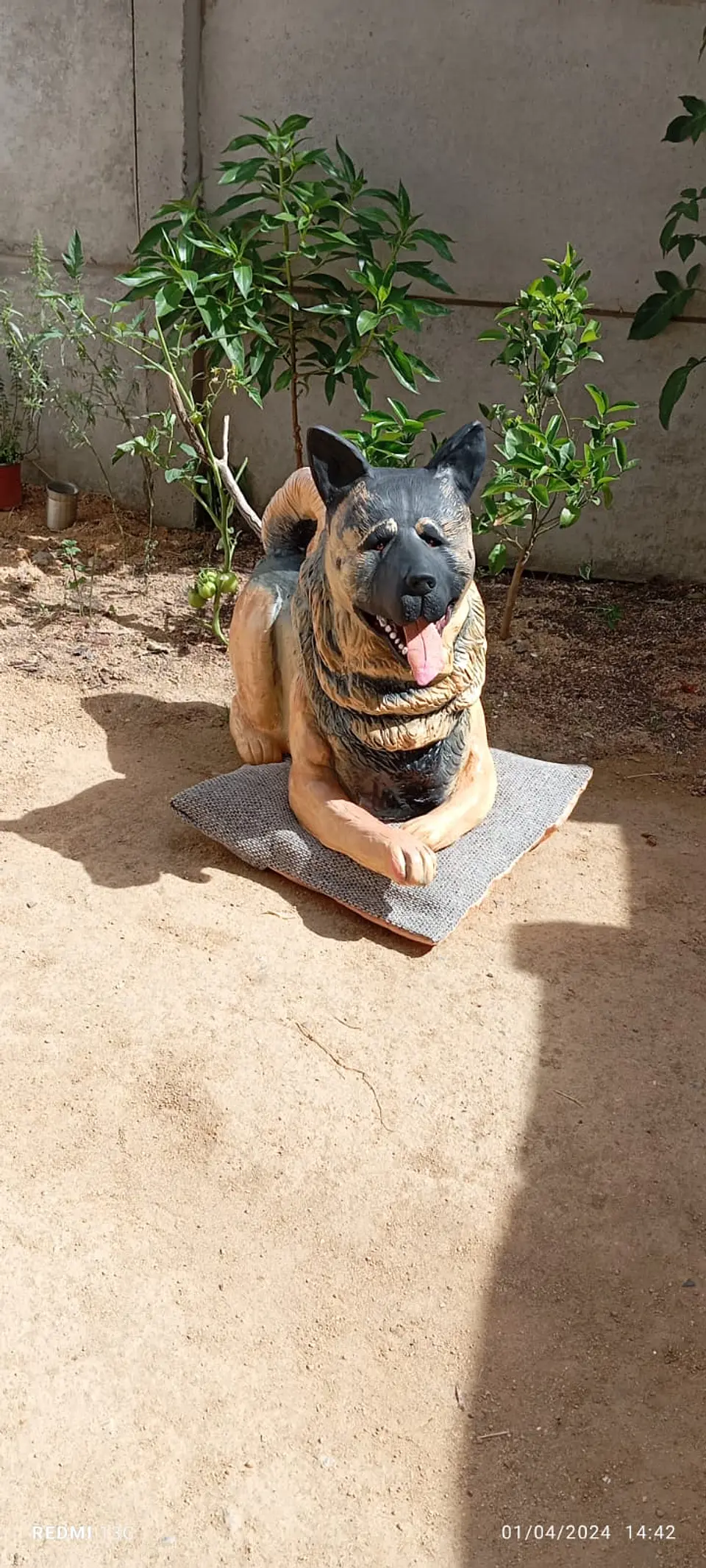 Memorial Mascota Akita Americano  3