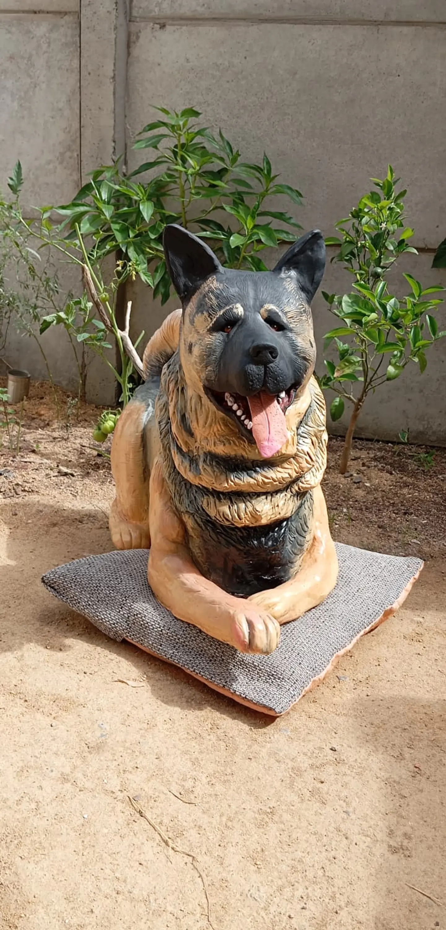 Memorial Mascota Akita Americano  4