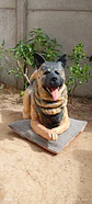 Memorial Mascota Akita Americano  - Miniatura 4