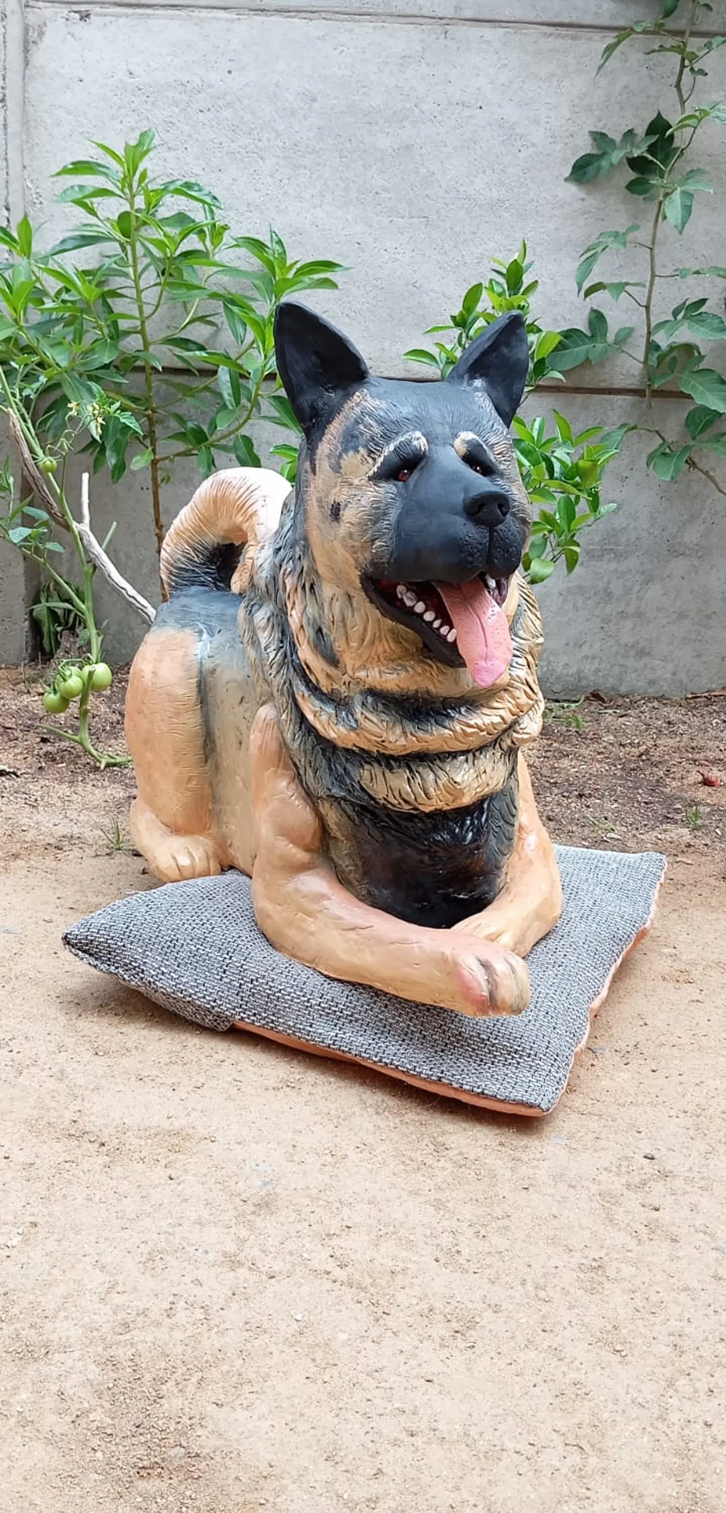 Memorial Mascota Akita Americano  2