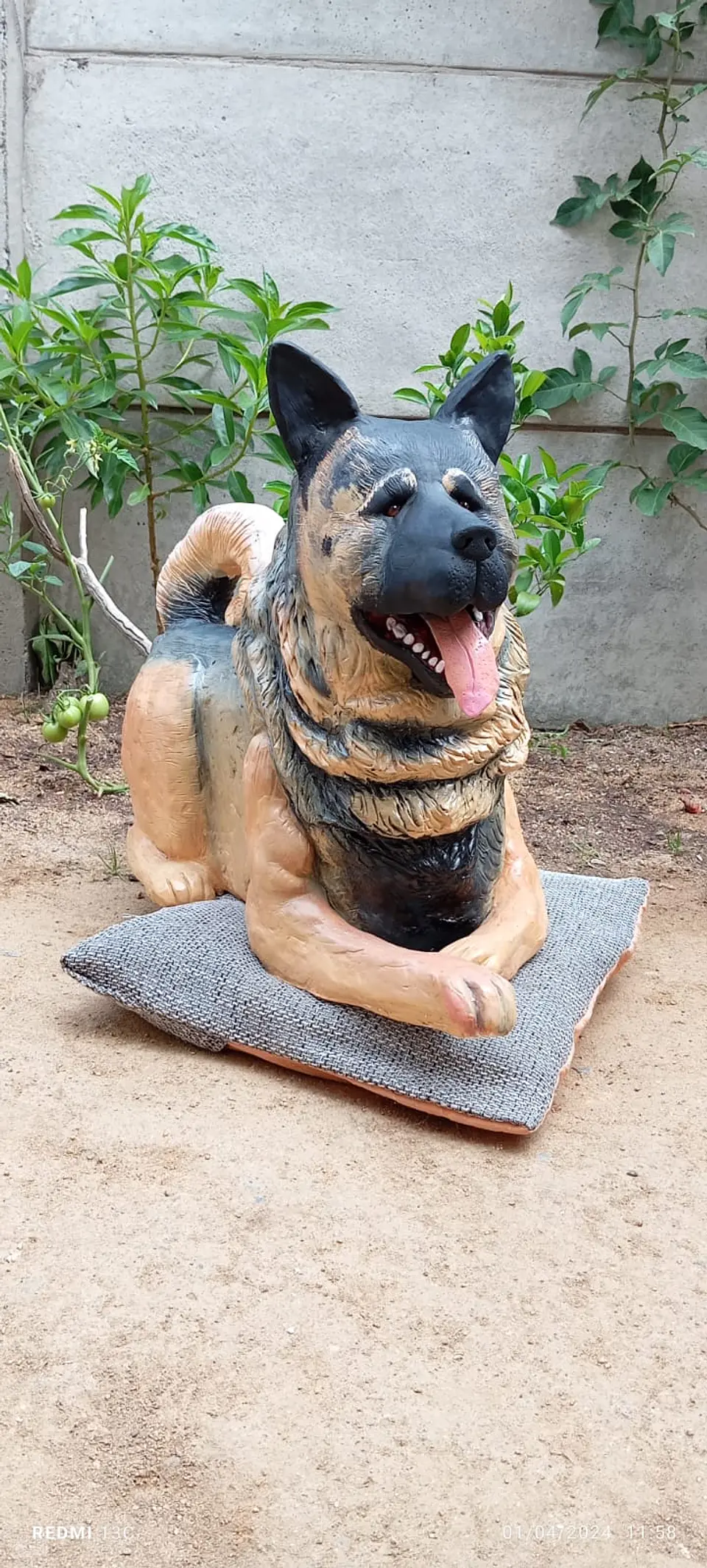 Memorial Mascota Akita Americano  2
