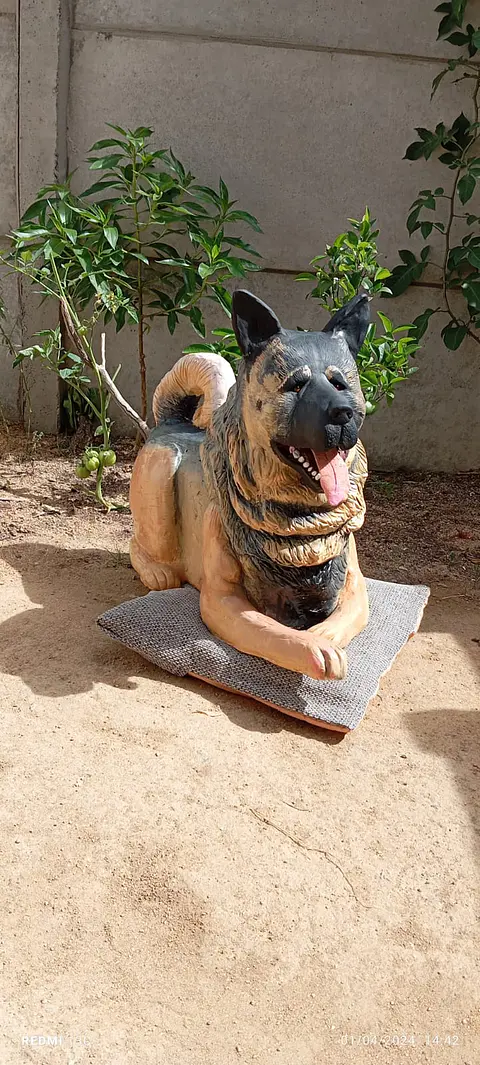 Memorial Mascota Akita Americano 