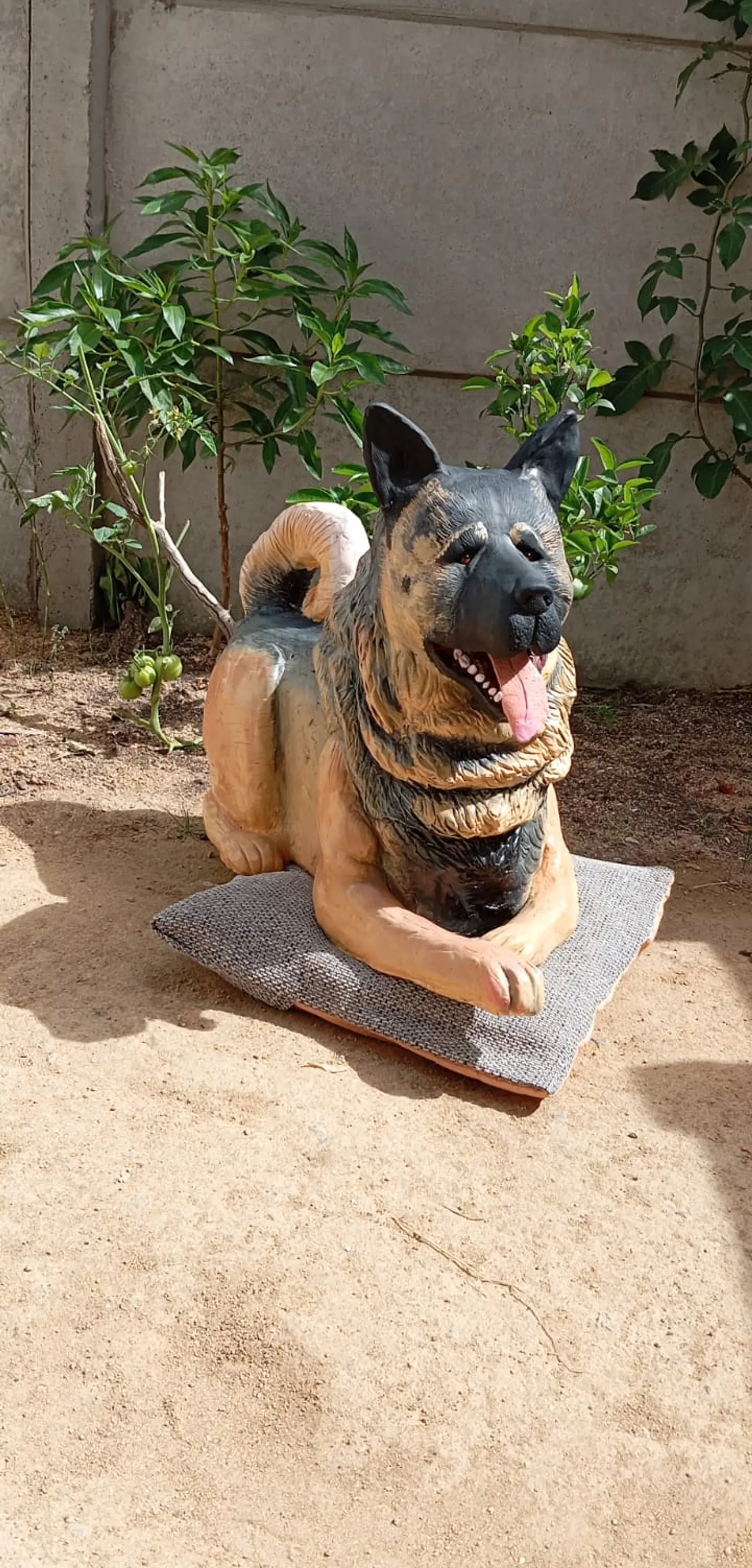 Memorial Mascota Akita Americano  1