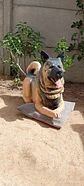 Memorial Mascota Akita Americano  - Miniatura 1