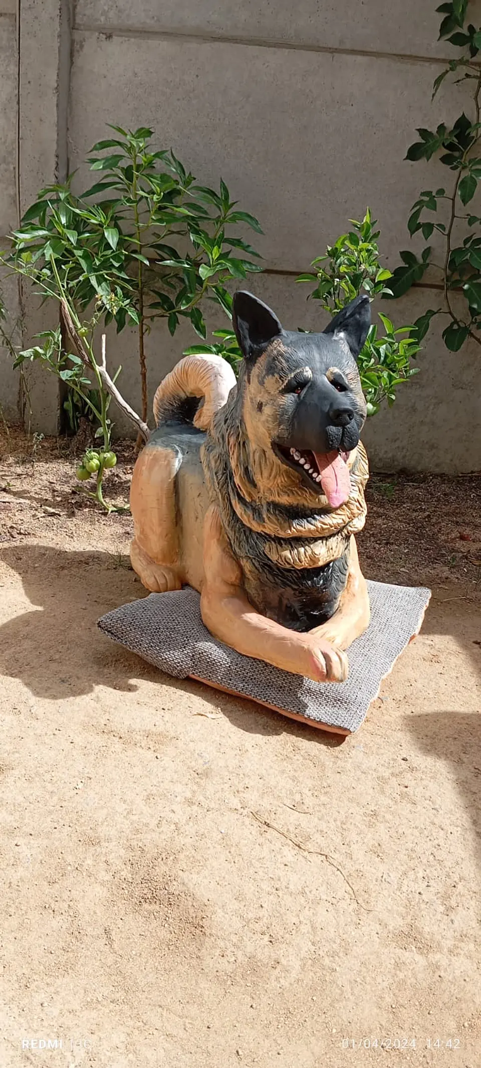 Memorial Mascota Akita Americano  1