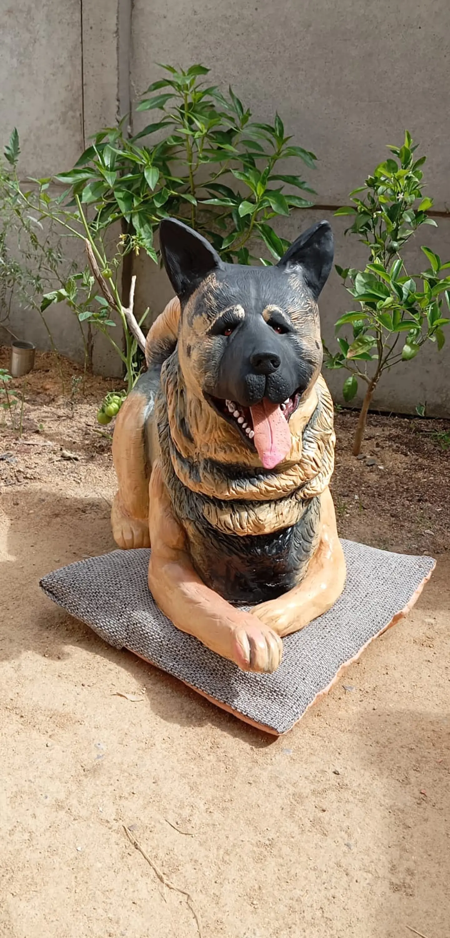 Memorial Mascota Akita Americano  5