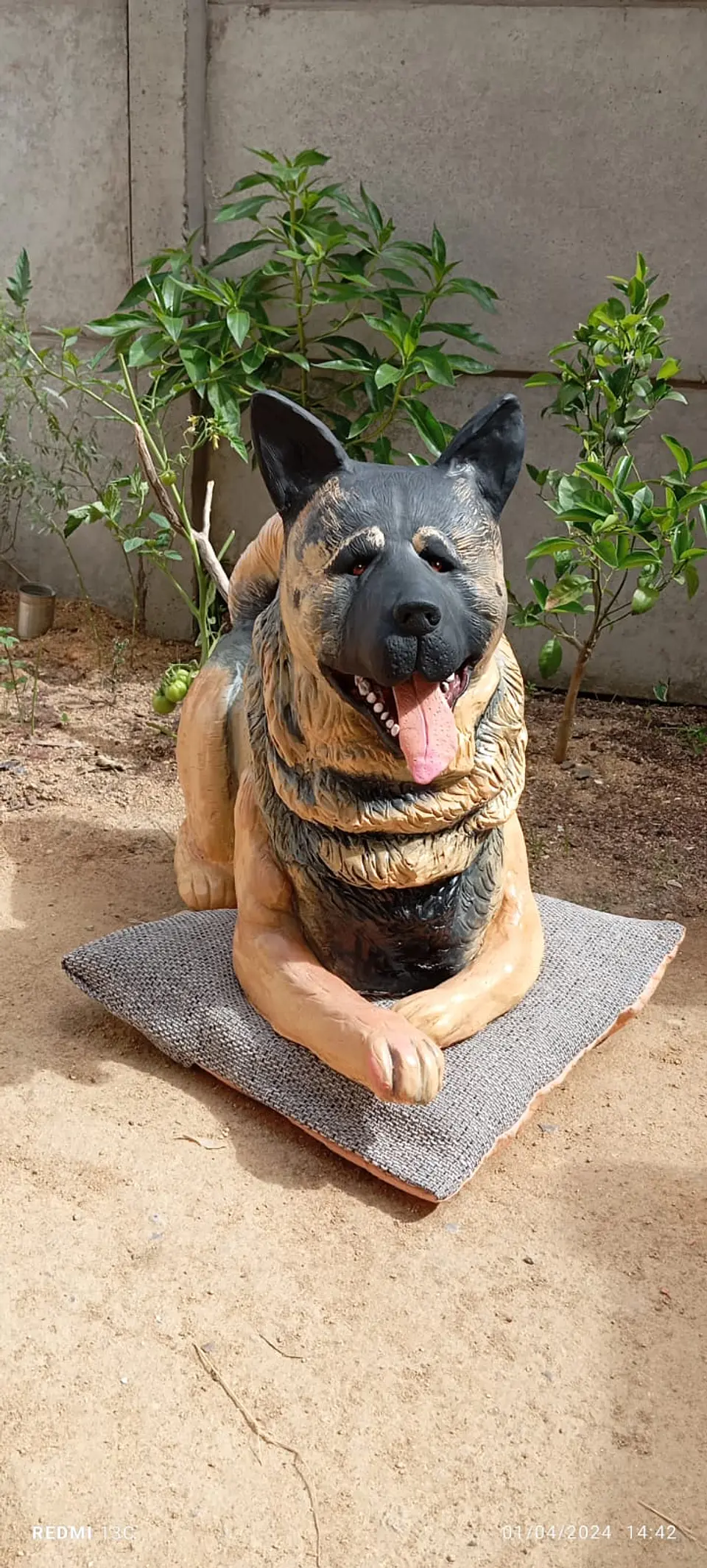 Memorial Mascota Akita Americano  5