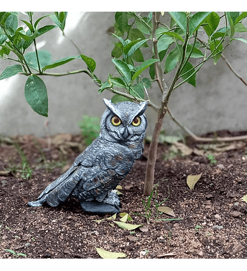 búho chileno tucúquere Escultura