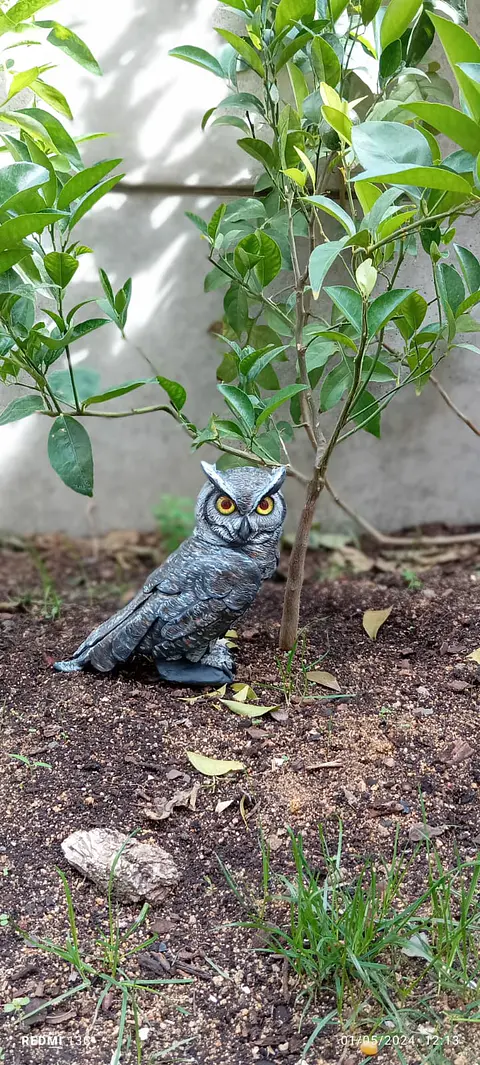 búho chileno tucúquere Escultura