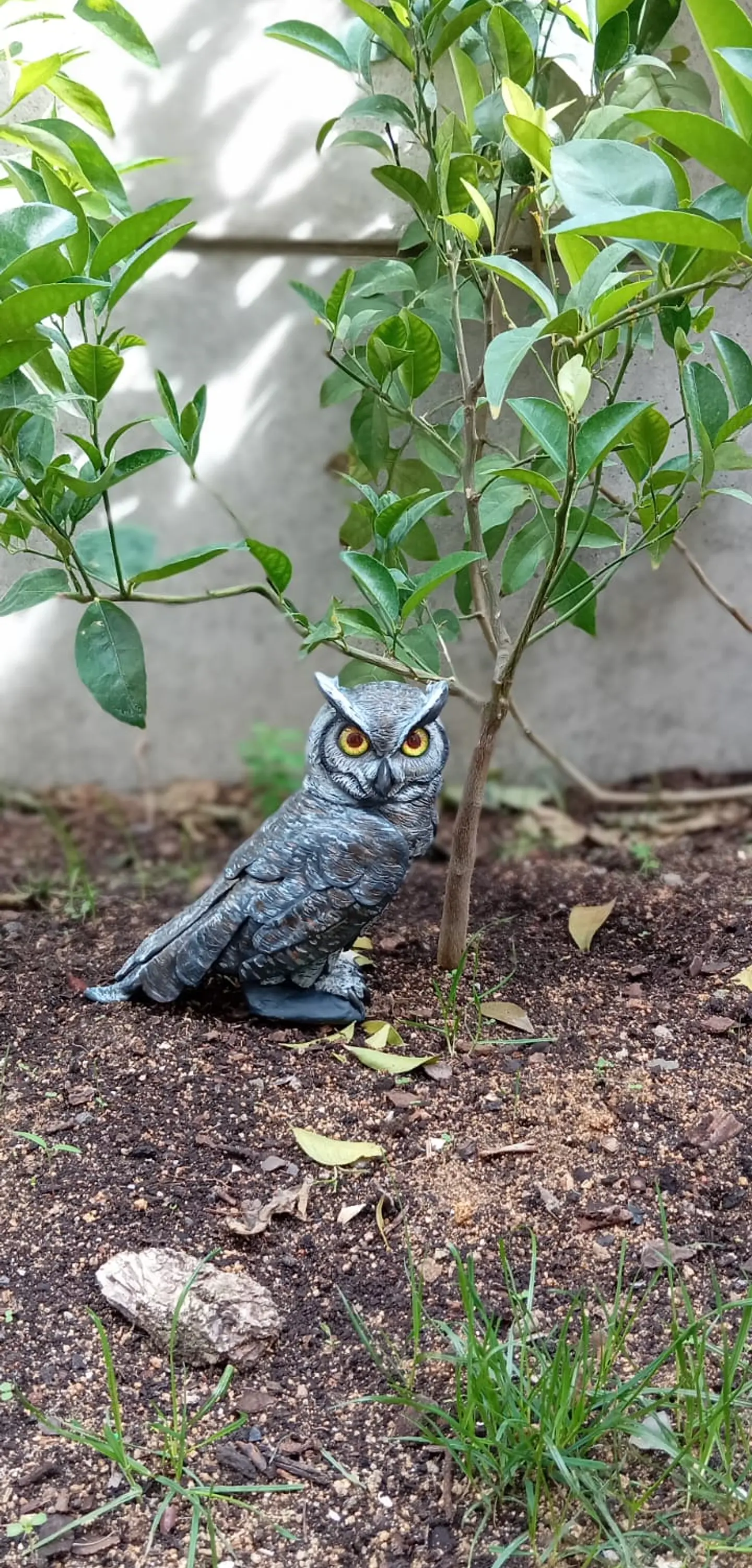 búho chileno tucúquere Escultura 2
