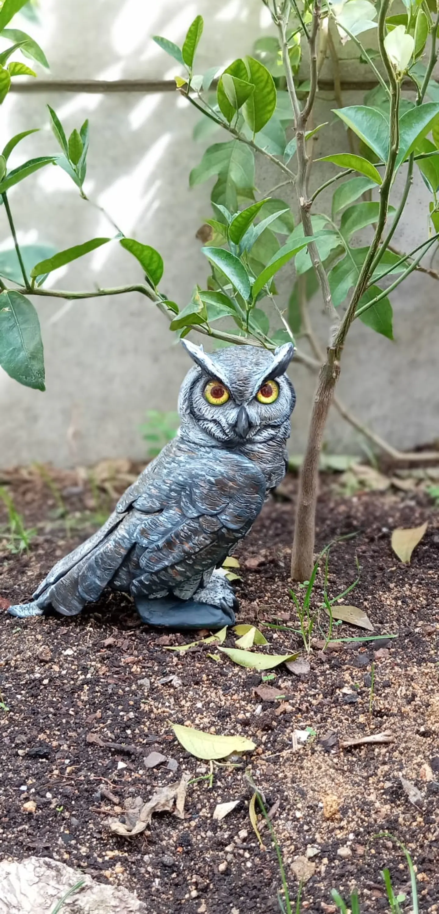 búho chileno tucúquere Escultura 6