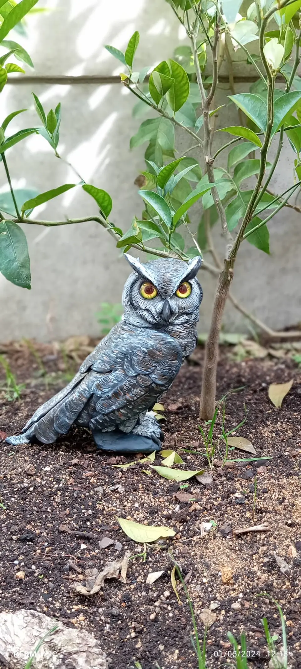 búho chileno tucúquere Escultura 6