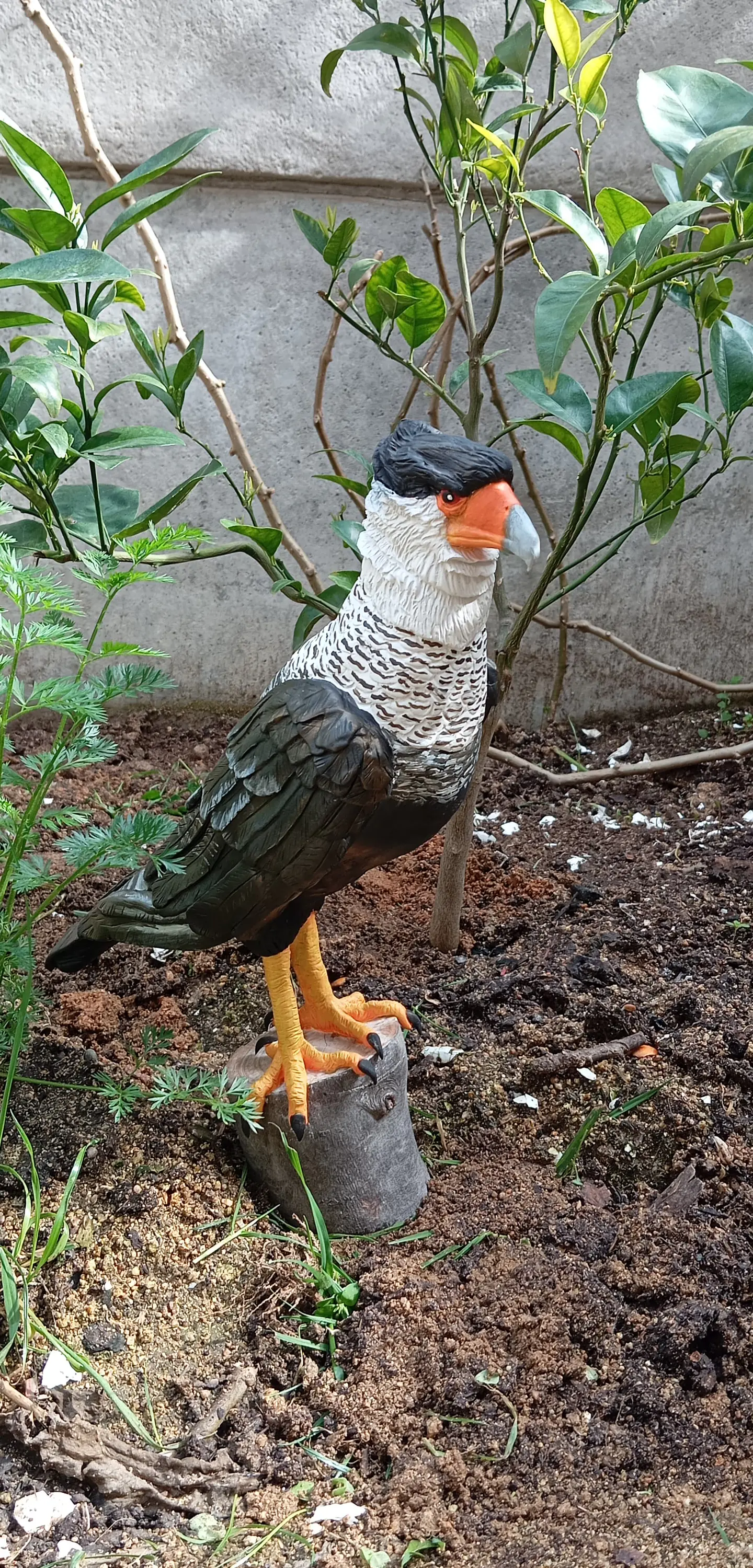 Escultura Ave Carancho o Traro  2