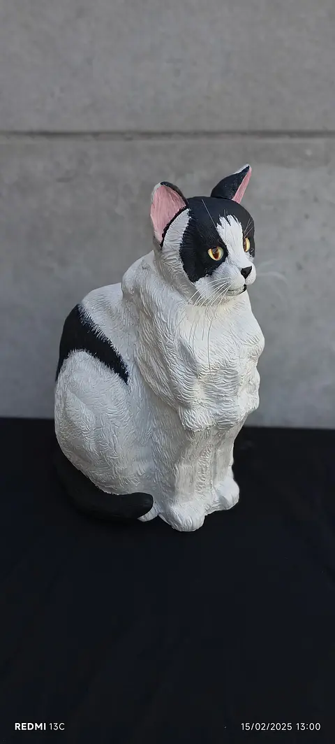 Memorial Mascota Gato