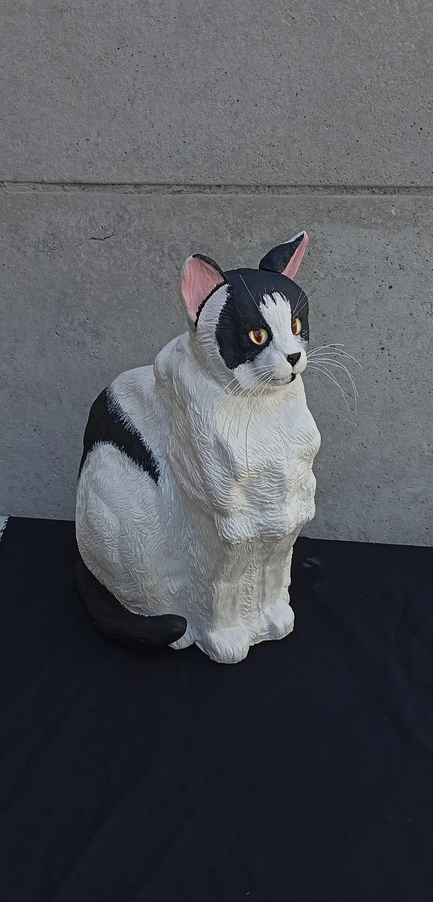 Memorial Mascota Gato 4
