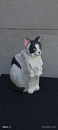 Memorial Mascota Gato - Miniatura 4