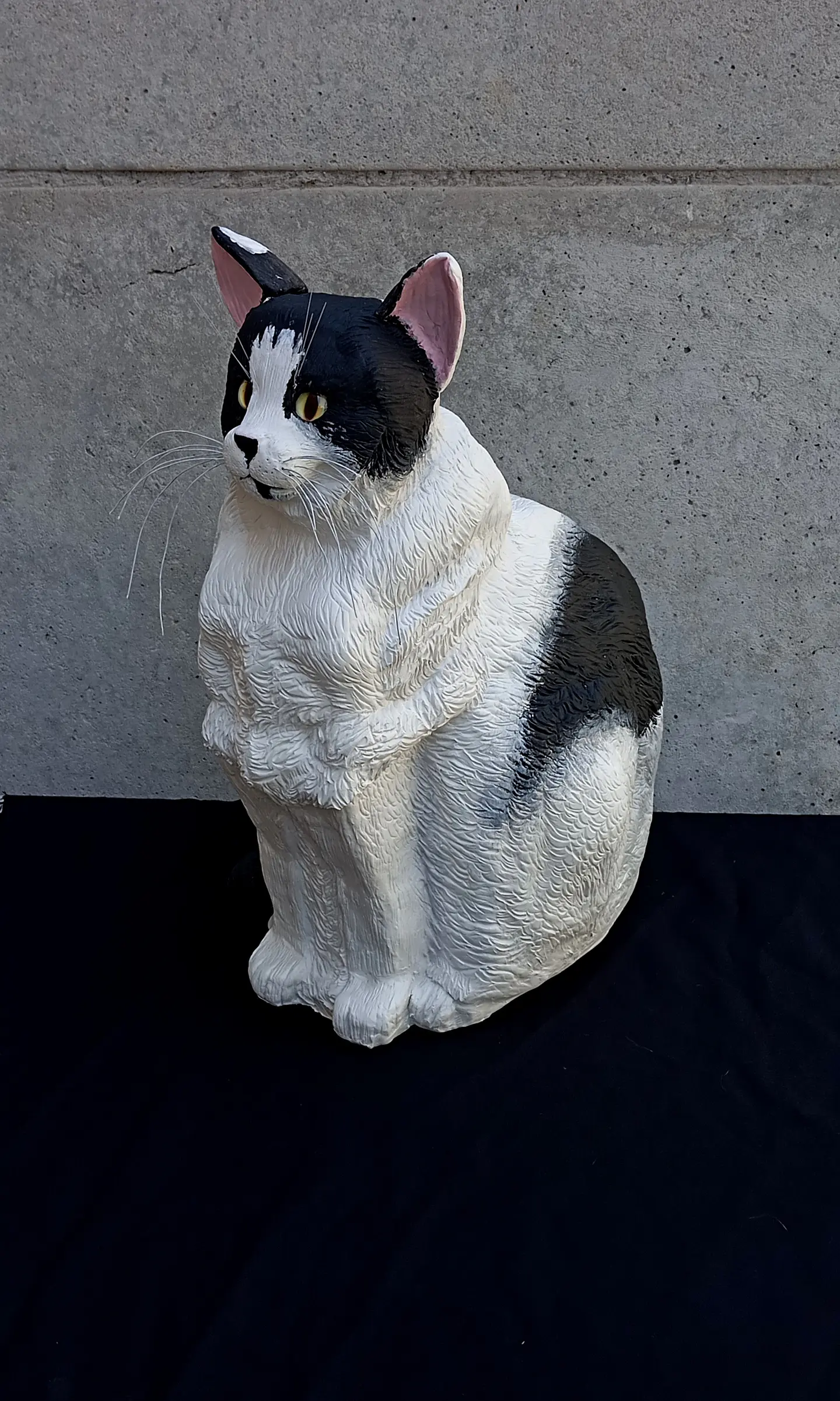 Memorial Mascota Gato 3
