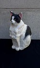 Memorial Mascota Gato - Miniatura 3